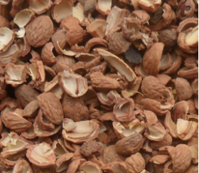 核桃深加工——核桃油，核桃粉，核桃工藝品，活性炭制品(圖3)