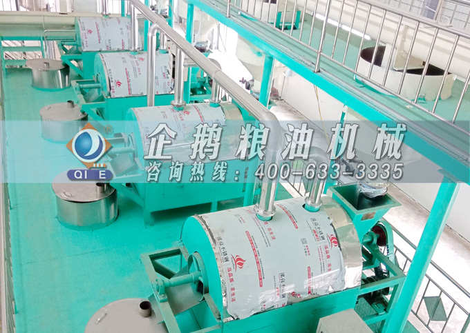 如何降低壓榨花生油中黃曲霉毒素含量？企鵝糧油機(jī)械為您提供可靠方法(圖4)