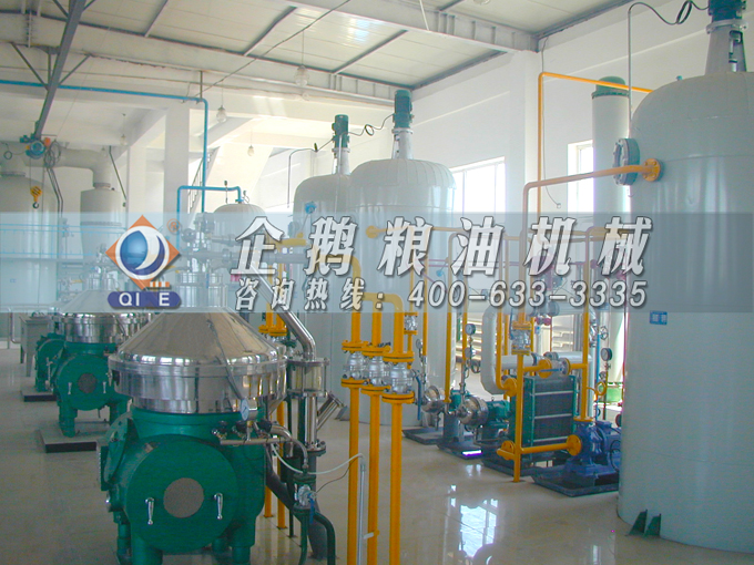 如何投資建設(shè)棕櫚油加工廠？企鵝糧油機(jī)械在線為您答疑解惑(圖2)