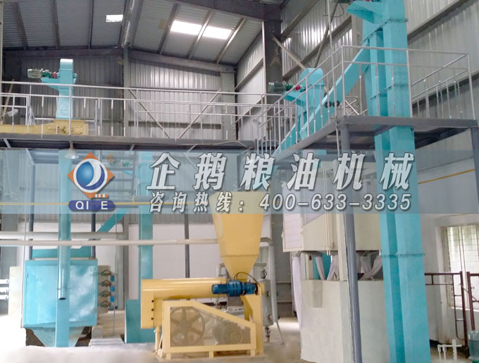 如何投資建設(shè)棕櫚油加工廠？企鵝糧油機(jī)械在線為您答疑解惑(圖4)