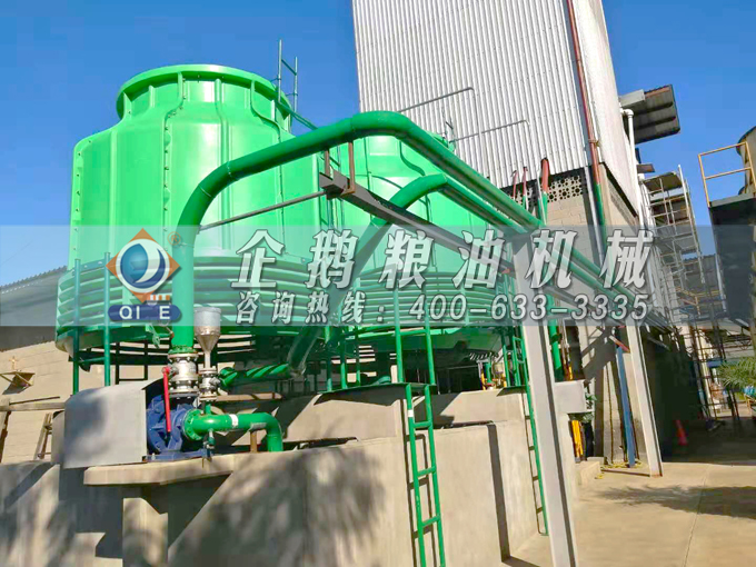 如何投資建設(shè)棕櫚油加工廠？企鵝糧油機(jī)械在線為您答疑解惑(圖3)