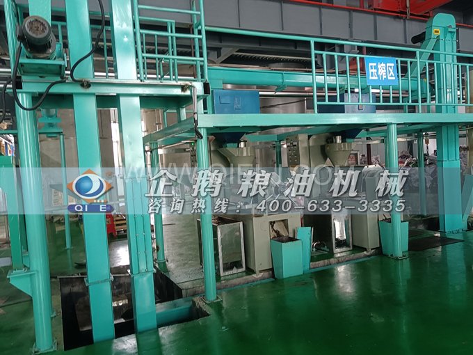 企鵝牌核桃油榨油設備，生產(chǎn)綠色健康油受大眾喜愛(圖4)