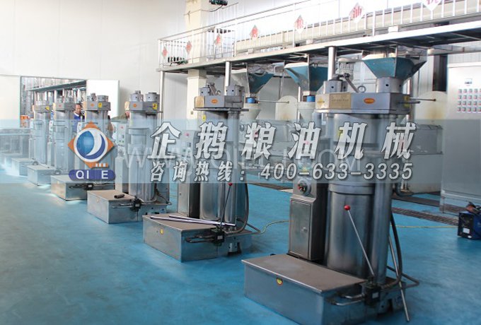 芝麻油提取加工，企鵝糧油機械生產(chǎn)色香味俱佳的油脂(圖3)